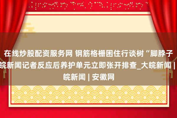 在线炒股配资服务网 钢筋格栅困住行谈树“脚脖子”，大皖新闻记者反应后养护单元立即张开排查_大皖新闻 | 安徽网