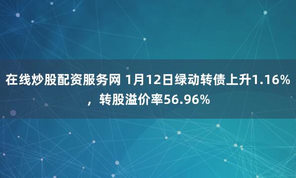 在线炒股配资服务网 1月12日绿动转债上升1.16%，转股溢价率56.96%