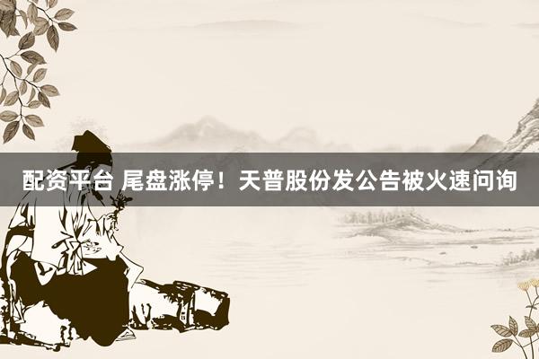 配资平台 尾盘涨停！天普股份发公告被火速问询