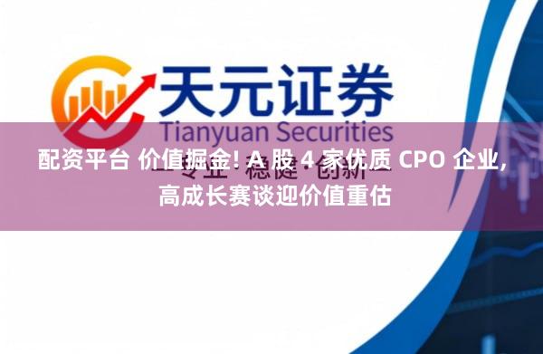 配资平台 价值掘金! A 股 4 家优质 CPO 企业, 高成长赛谈迎价值重估